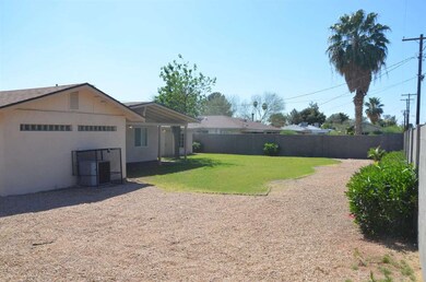 Back Yard 2.JPG