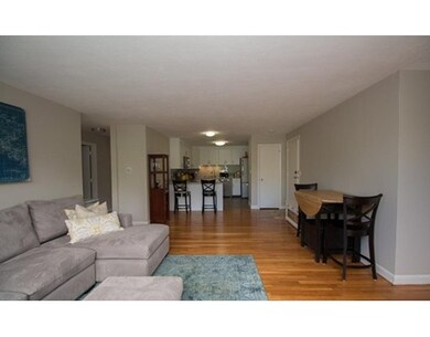 519 Washington St unit 14, Brookline, MA 02446 - photo 6