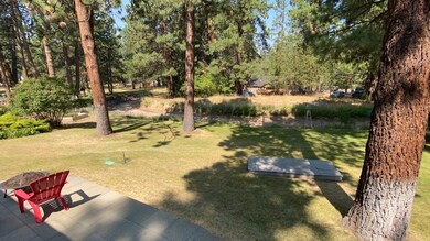 River Woods2