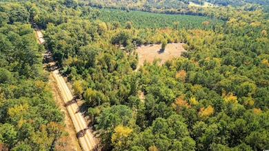 5760 Hugh Ryan Rd, Dalzell, SC 29040 - photo 4