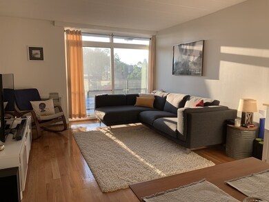 345 Harvard St unit 5A, Cambridge, MA 02138 - photo 3