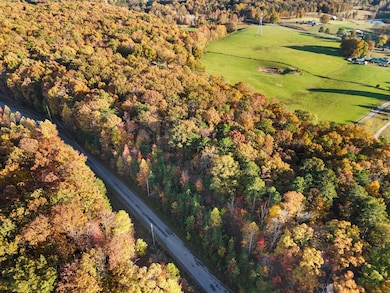 dji_20251106053848_0533_d