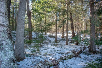 DSC_0561
