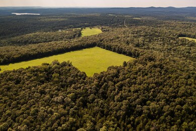 355 m/l ac Bull Shoals Frontage