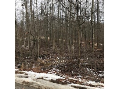 0 Kingsway Ct unit 175 & 176 3970063, Howard, OH 43028 - photo 5