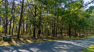 0 Rushing Water Trail unit 1520903, Rising Fawn, GA 30738 - photo 7