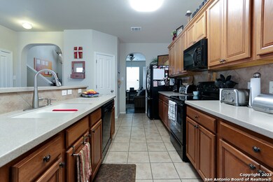 25639 Sago Palm, San Antonio, TX 78261 - photo 5