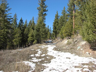 75 Coyote Springs Trail, Kila, MT 59920 - photo 4