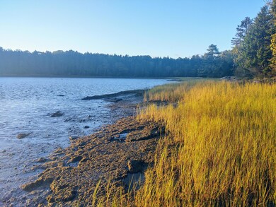 waterfront