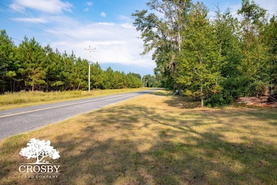 106 Millhouse Rd, Olar, SC 29843 - photo 4