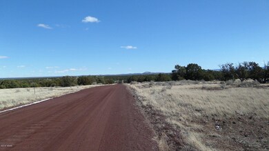 Bobcat to the east