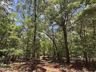 0 Salix Ln, Macon, GA 31216 - photo 5