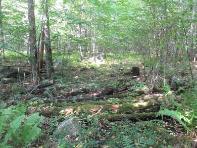 This is the brook you would need a wetland crossing for to get to the deeper into the property private location.