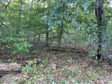 Tract 6 Cumberland Ridge Dr, Somerset, KY 42501 - photo 5