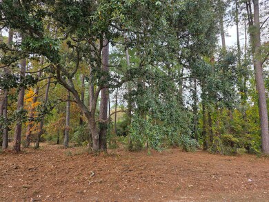 unlisted-address, Santee, SC 29142 - photo 5