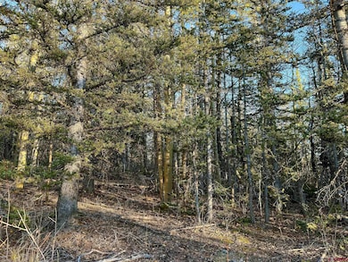 6817 Heckman Rd, San Luis, CO 81152 - photo 7