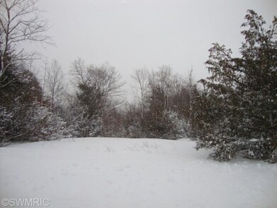 0 60th St unit B 14004893, Pullman, MI 49450 - photo 3