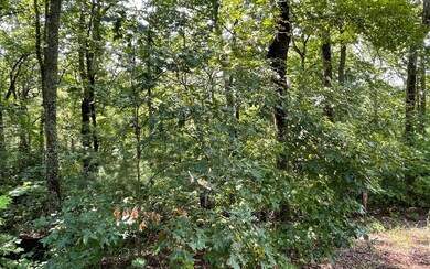 LOT 9 Wolfpen Gap Sub, Hiawassee, GA 30546 - photo 6