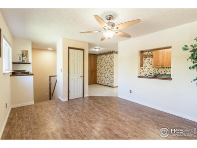 New Laminate Throughout