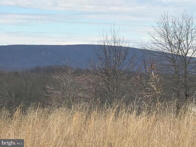 Lot 39 N Frederick Pike, Cross Junction, VA 22625 - photo 2