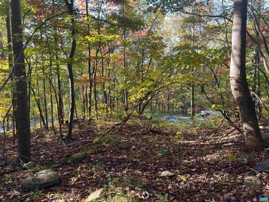 1717 Black Walnut Dr, Nellysford, VA 22958 - photo 4