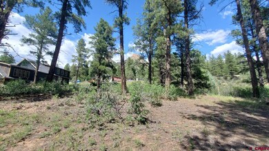 82 Wild Iris Ave, Durango, CO 81301 - photo 6