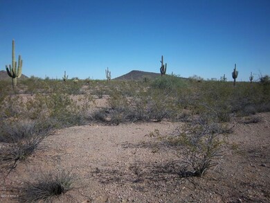Looking East