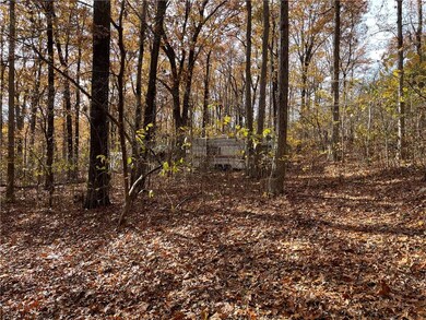 10013 Bunyard Rd, Winslow, AR 72959 - photo 4