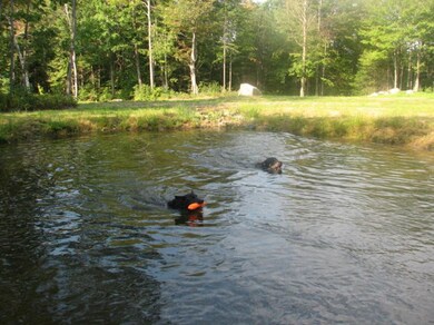 0 Nh Route 118 unit 648 4726408, Dorchester, NH 03741 - photo 7