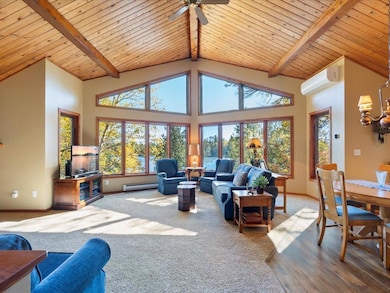 6040 S Thunder Lake Dr NE, Remer, MN 56672 - photo 4