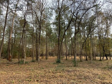 8437 Hwy 94, Lufkin, OK 74904 - photo 7