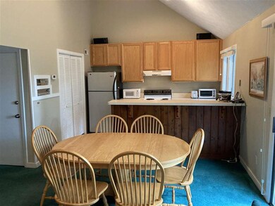 409 Three Ridges, Wintergreen Resort, VA 22967 - photo 3