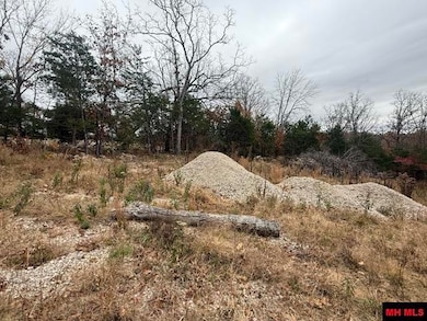 002-10735-000 Wildwood Cir, Mountain Home, AR 72653 - photo 3