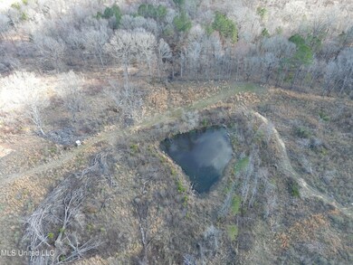 0 Abernathy Rd, Flora, MS 39071 - photo 7