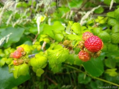 1405 Hortons Creek Rd, Burnsville, NC 28714 - photo 7