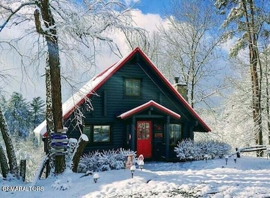 1003 Walini Way, Sevierville, TN 37876 - photo 3