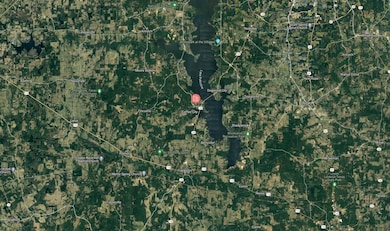 0 Valley View Dr unit Frankston TX 75763, Frankston, TX 75763 - photo 7