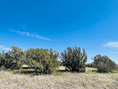 2074 W Critter Pass, Williams, AZ 86046 - photo 5