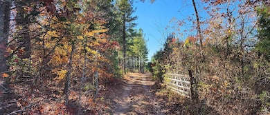 Partlow Rd, Beaverdam, VA 23015 - photo 4