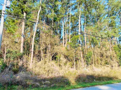 1739 Colonial St unit Colonial Estates, Georgetown, SC 29440 - photo 3