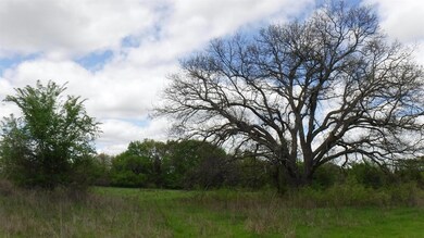 0 County Road 4196, Decatur, TX 76234 - photo 4