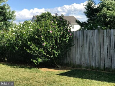 101 Fancy Ct, Stephens City, VA 22655 - photo 4