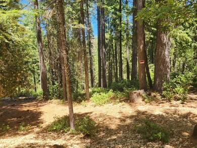 6296 Merry Way, Clipper Mills, CA 95930 - photo 6