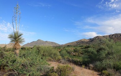 Northwest mountains and Cochise # 14