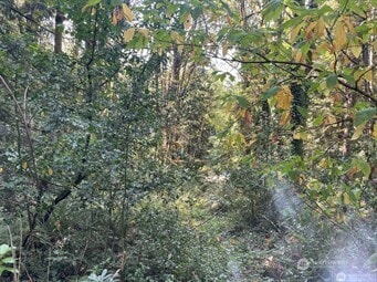 0 Melcher St unit NWM2458297, Port Orchard, WA 98366 - photo 6