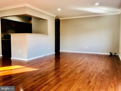 8004 Capistrano Place unit E, Alexandria, VA 22309 - photo 4