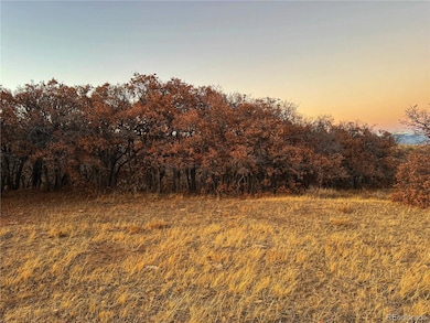 168 Colorado Land and Grazing, Gardner, CO 81040 - photo 3