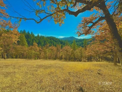 Great Cabin Site