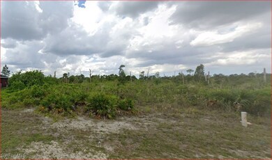 View of local wilderness
