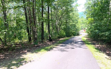 Additional View